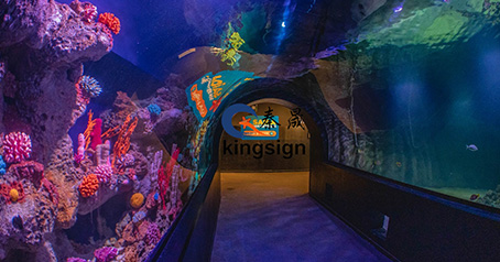 Túnel de acuario.