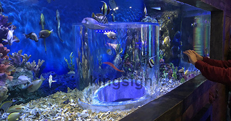 Proyecto del acuario Wuxi Ocean Underworld.