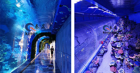 Proyecto del túnel del acuario oceánico.