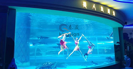 Proyecto de acuario oceánico.