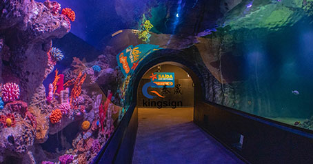 Proyecto de acuario oceánico.