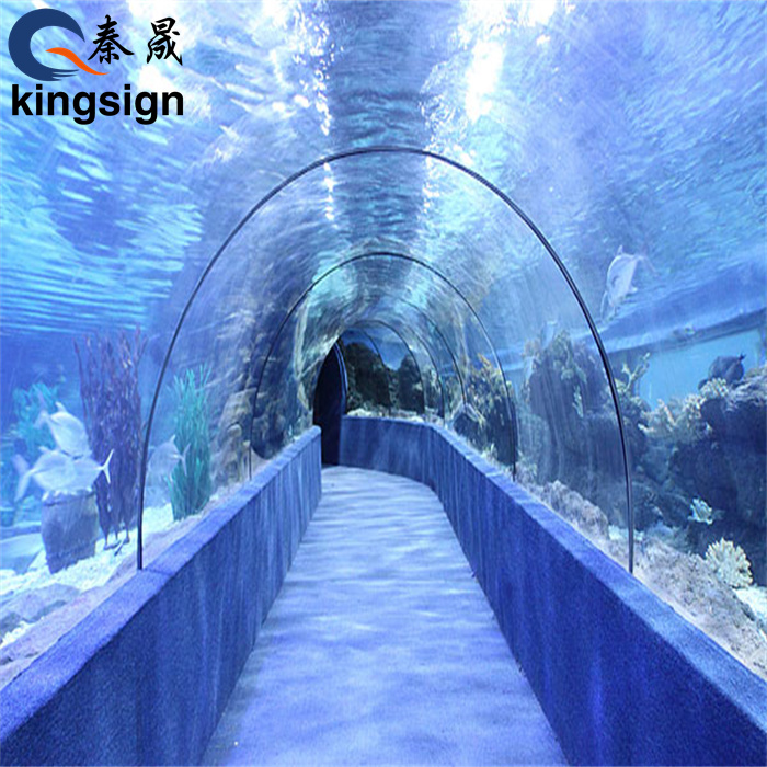El túnel submarino de acrílico te lleva al fondo del agua.