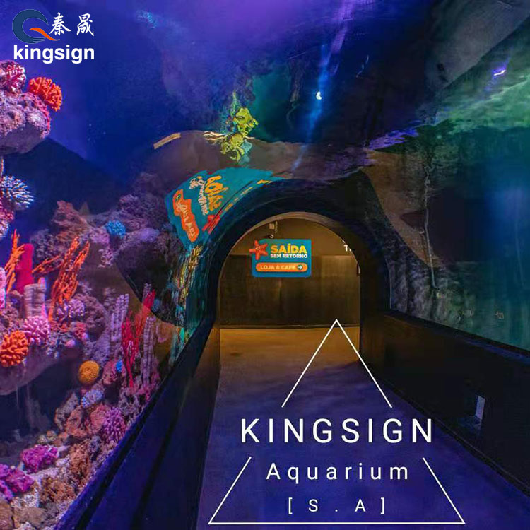 ¿Cómo puede un acuario público transformar la experiencia de los visitantes y el valor comercial?